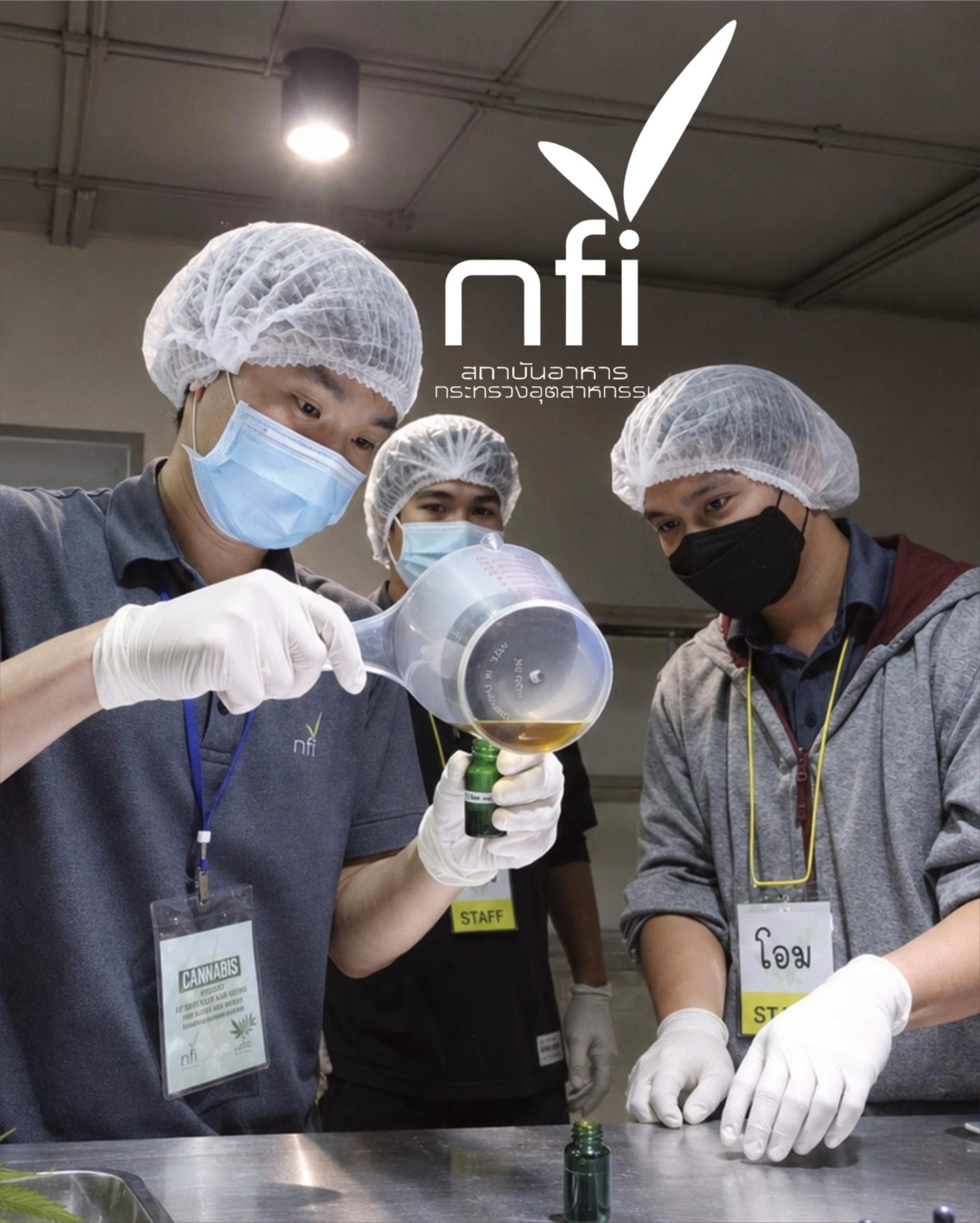 National Food Institute Website